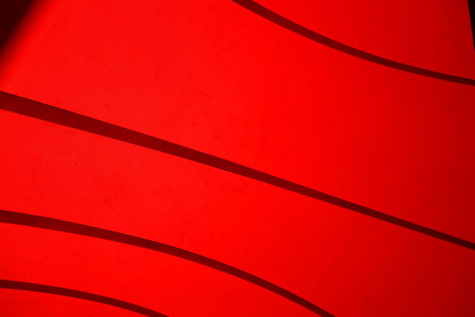 Plenárias Virtuais do PUCAM-SP